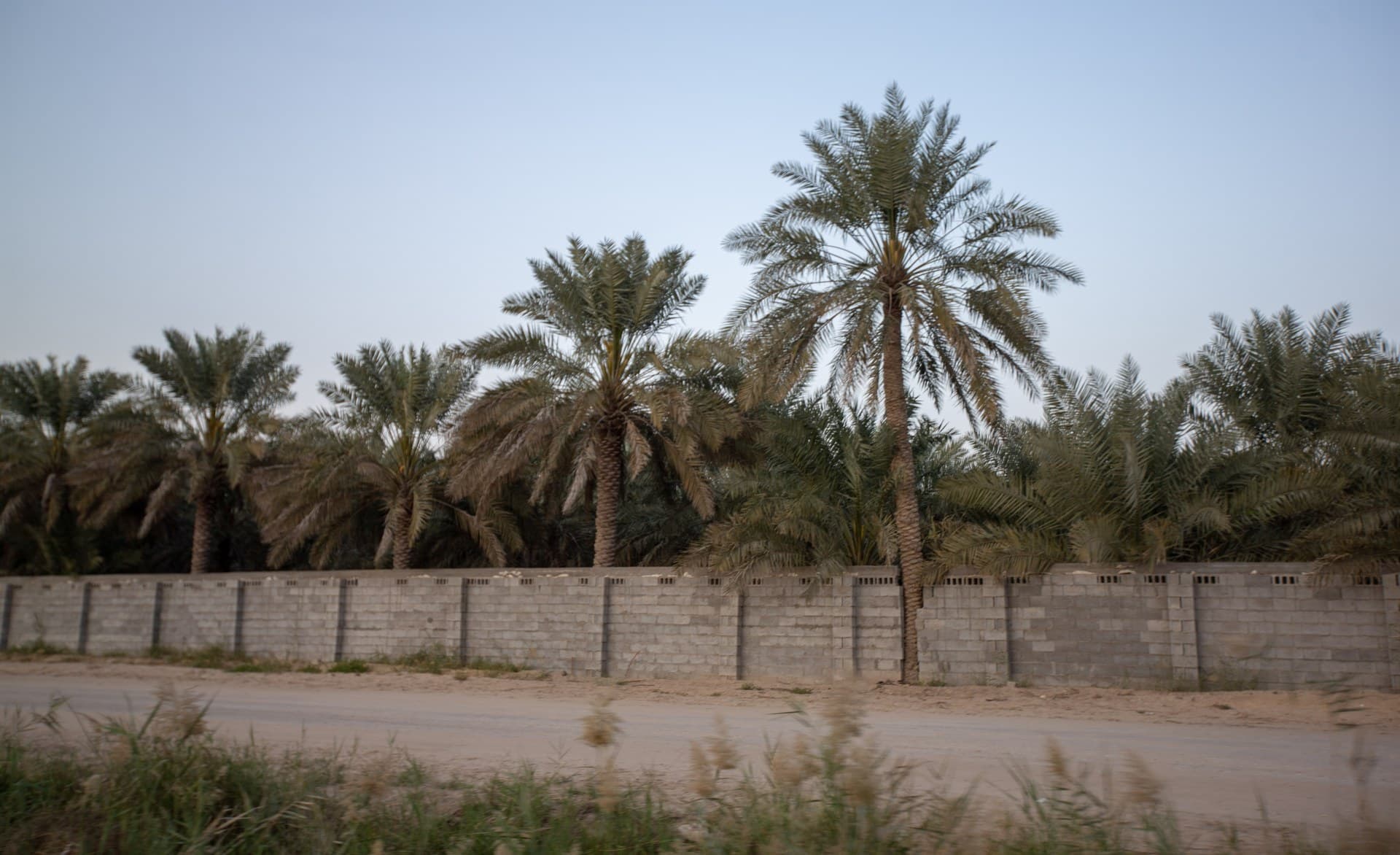 Al-Ahsa Oasis