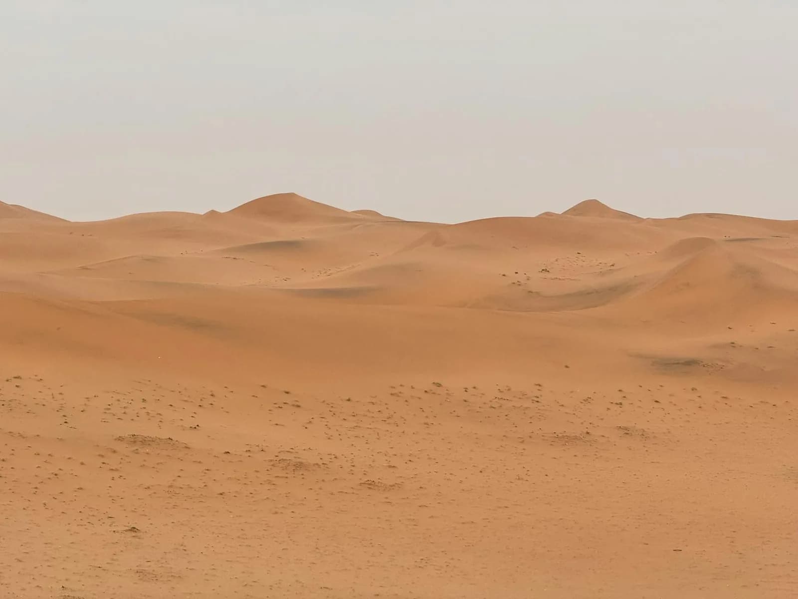 Visiting Saudi Arabia in Summer: Where It Is Bearable
