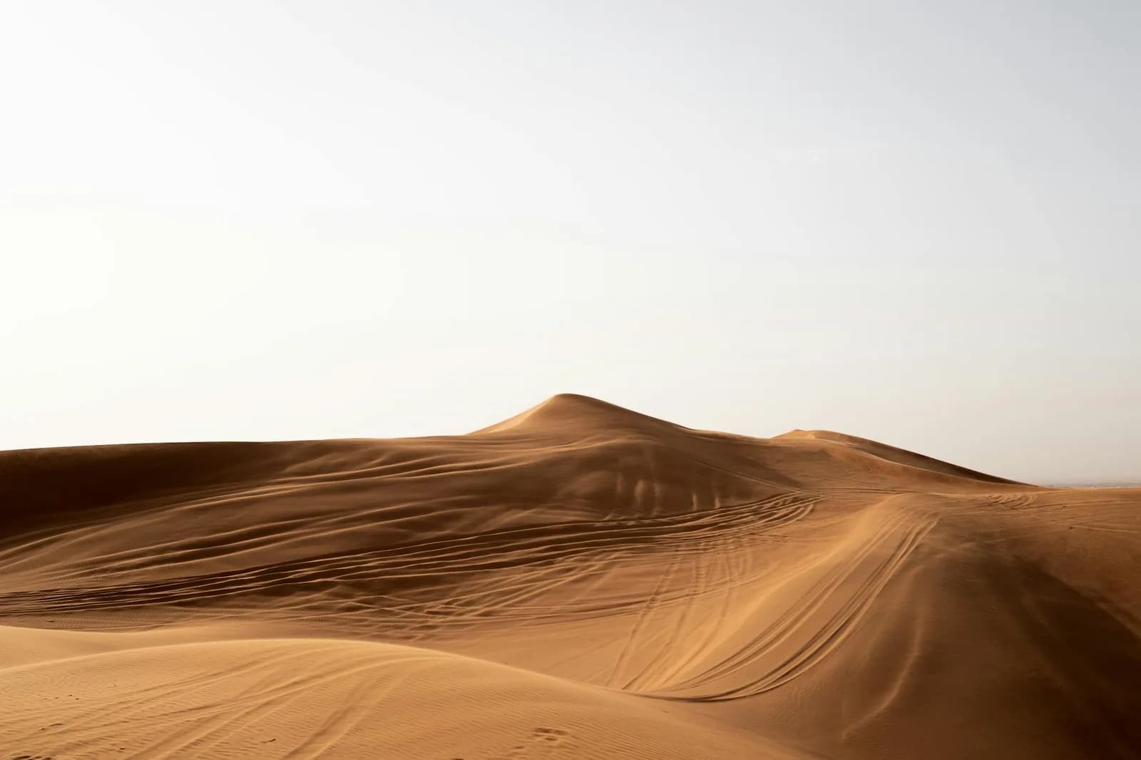 Saudi Arabia in Winter: The Peak Season Explained