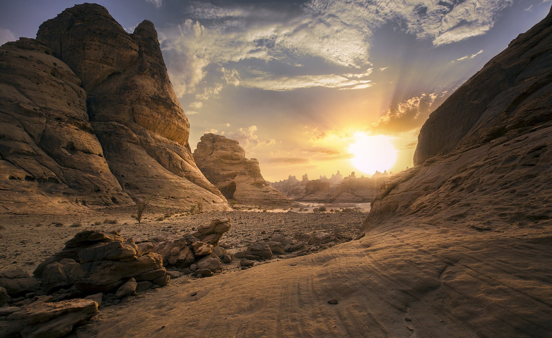 Riyadh, Hail & AlUla