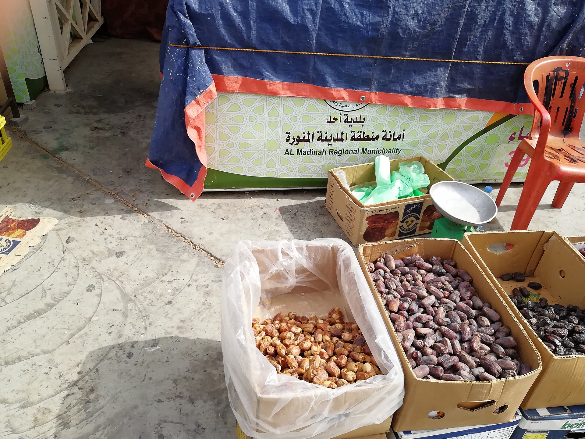 Madinah short break